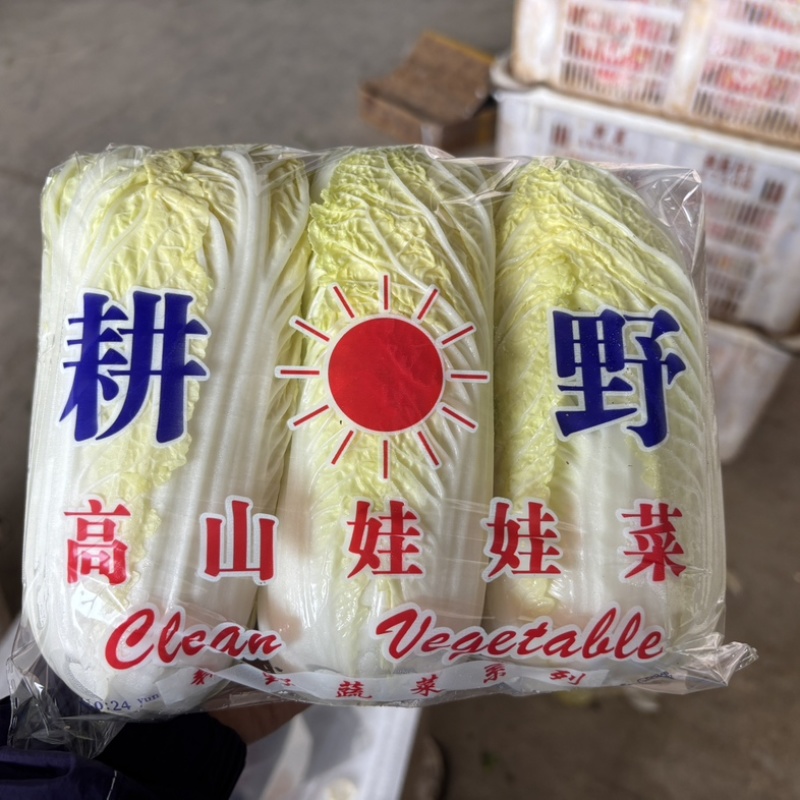 娃娃菜