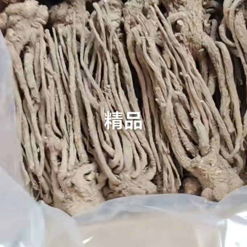 当归