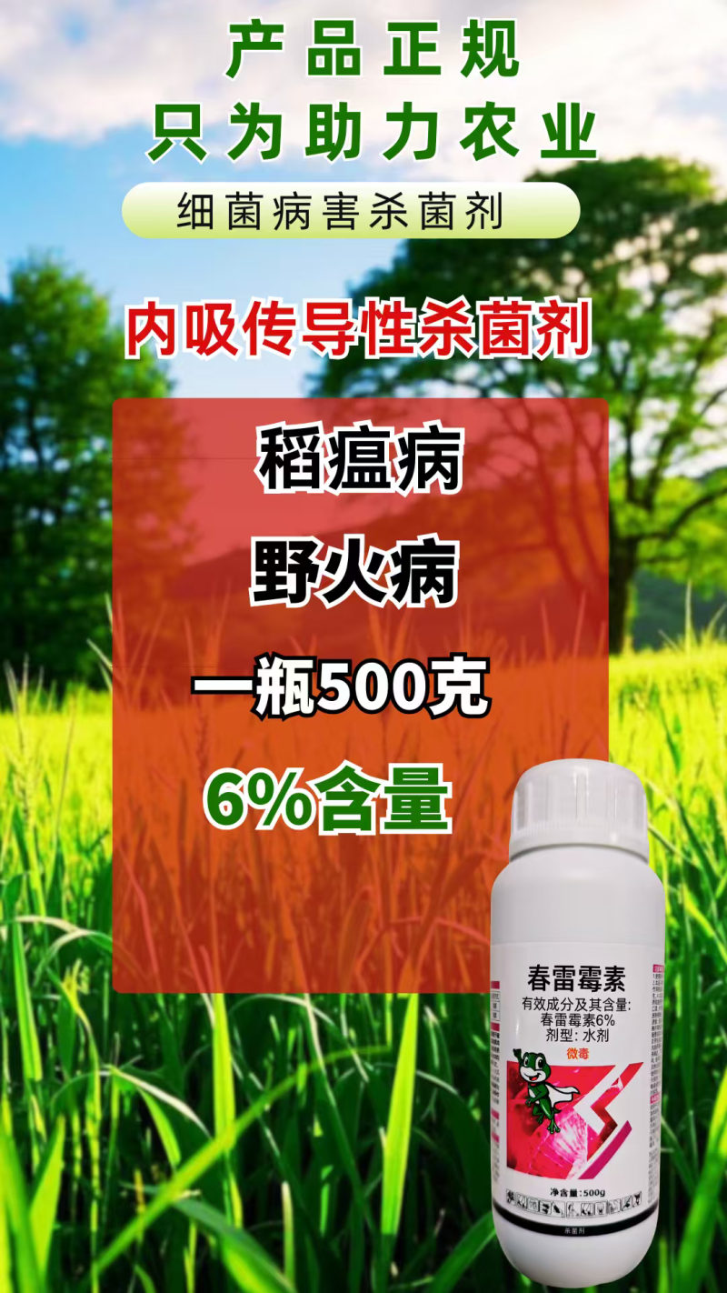 6%春雷霉素杀菌剂稻瘟病野火病高含量农用500克