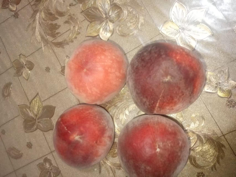 春雪桃/基地直发/货源充足/大量有货