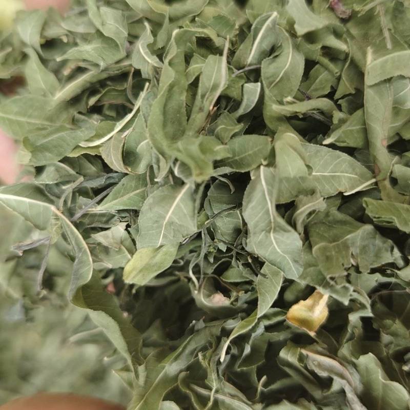 精品罗布麻各种规格可接单