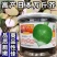 日本万斤芥光头芥菜种子二道眉芥菜头种籽辣疙瘩种孑老咸菜籽