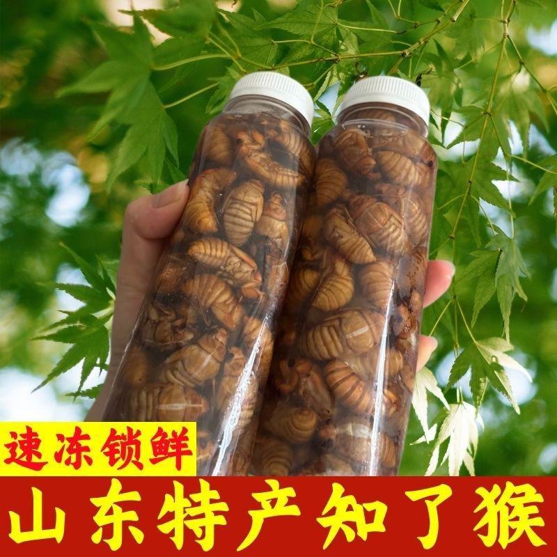 《一件代发》金蝉～知了猴～松婵对接各大电商平台日发万单抖