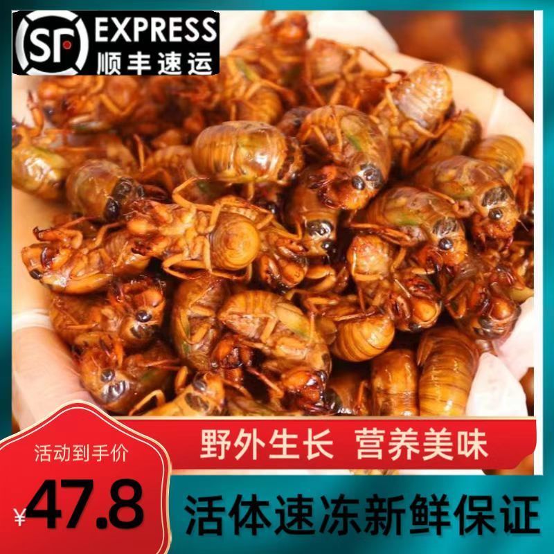 《一件代发》金蝉～知了猴～松婵对接各大电商平台日发万单抖