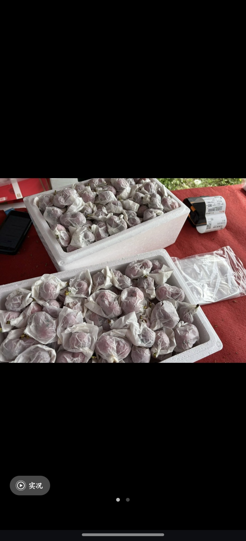 甘肃天水[套袋]俄罗斯8号樱桃***********