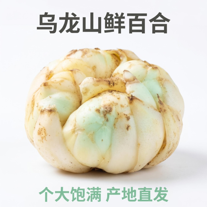 2026年龙山宜兴新鲜百合大量上市欢迎新朋友新客户下单