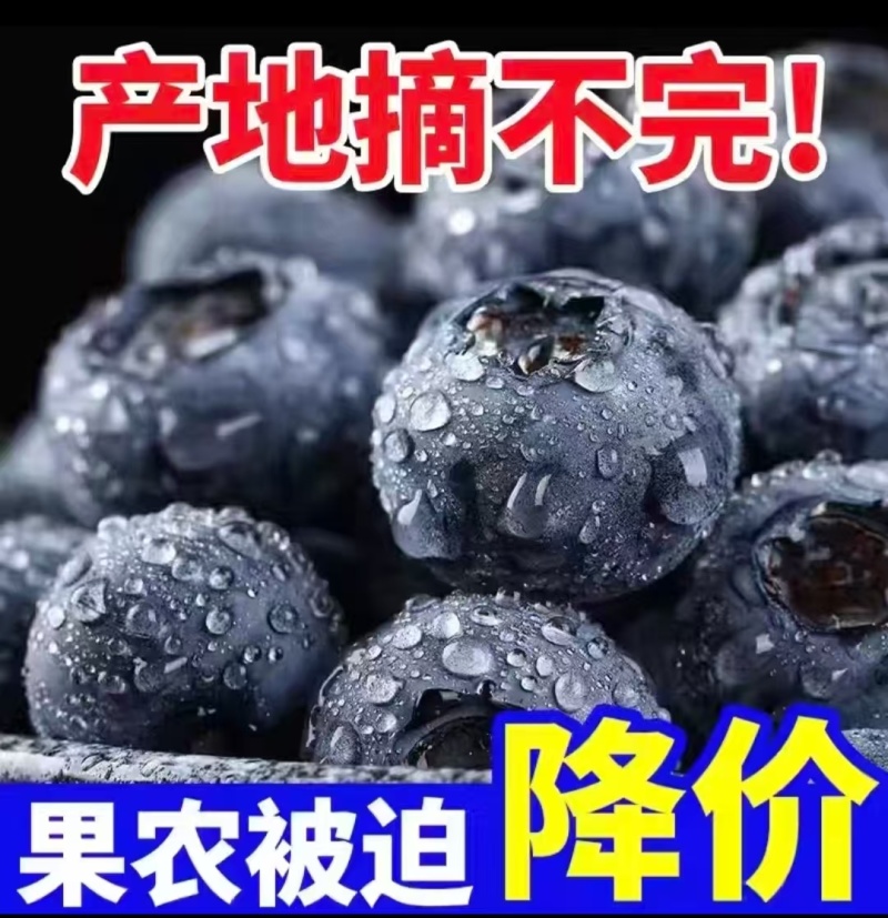 蓝莓花香L25H5F6L11公爵厚果粉硬度高