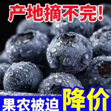 蓝莓花香L25H5F6L11公爵厚果粉硬度高