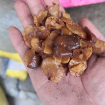 油炸蚕豆