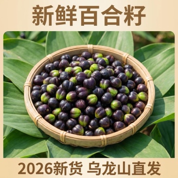 2026新鲜百合籽现摘现发农家原生态百合籽