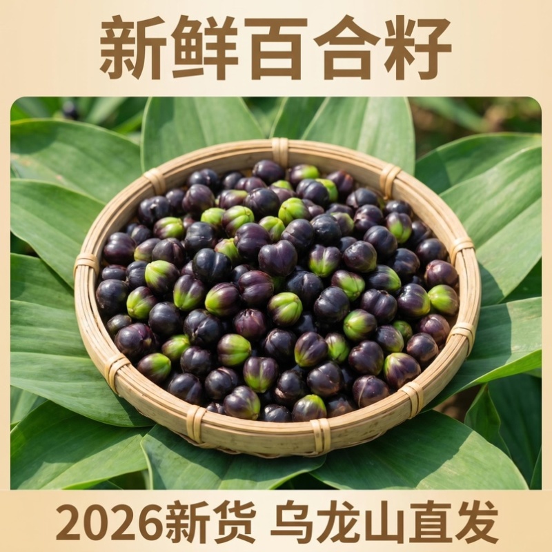 2026新鲜百合籽现摘现发农家原生态百合籽