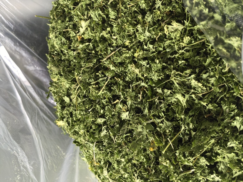 脱水欧芹，量大，全年有货