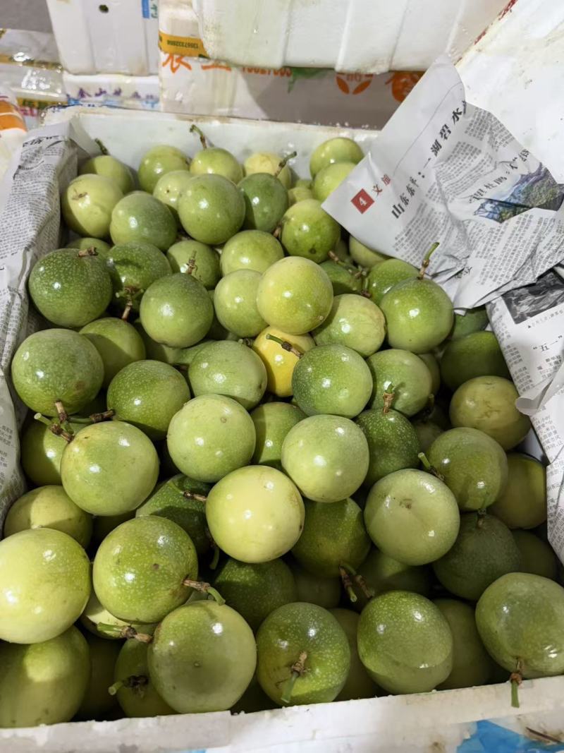 钦密9号百香果。