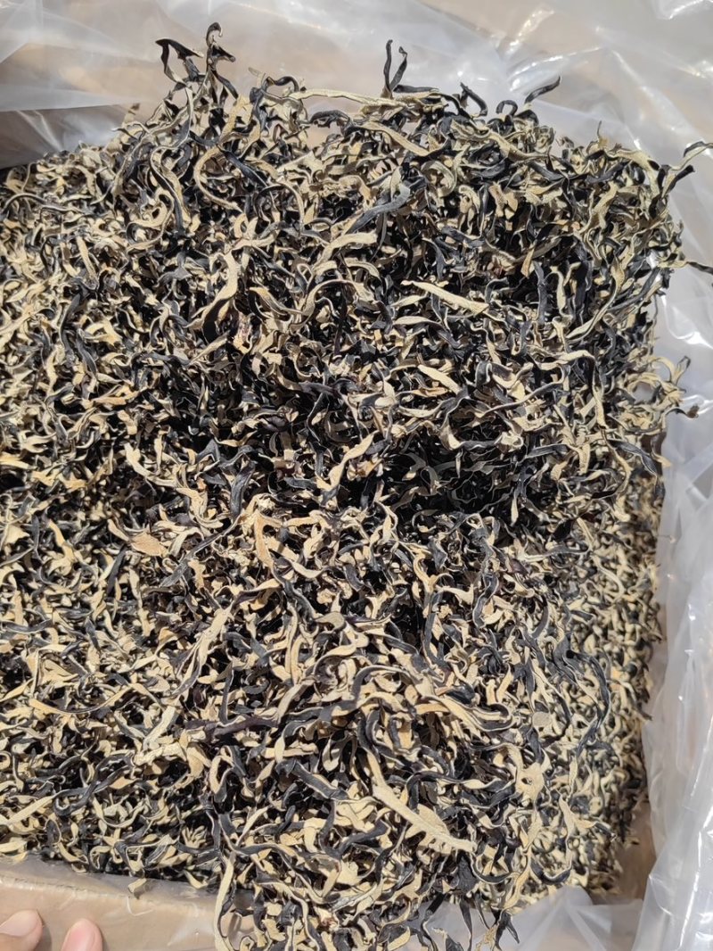 干木耳丝白背木耳丝工厂源头直发量大价优全网低价