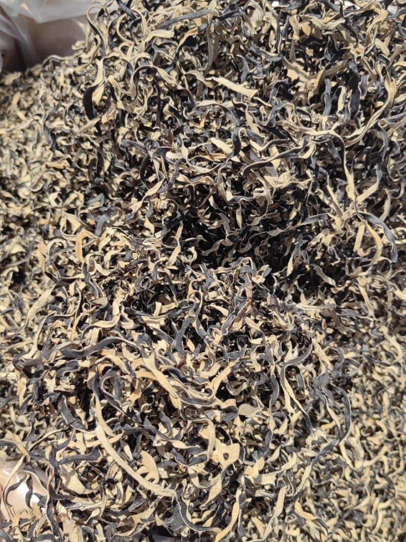 干木耳丝白背木耳丝工厂源头直发量大价优全网低价