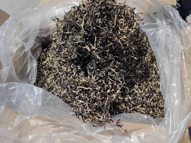 干木耳丝白背木耳丝工厂源头直发量大价优全网低价
