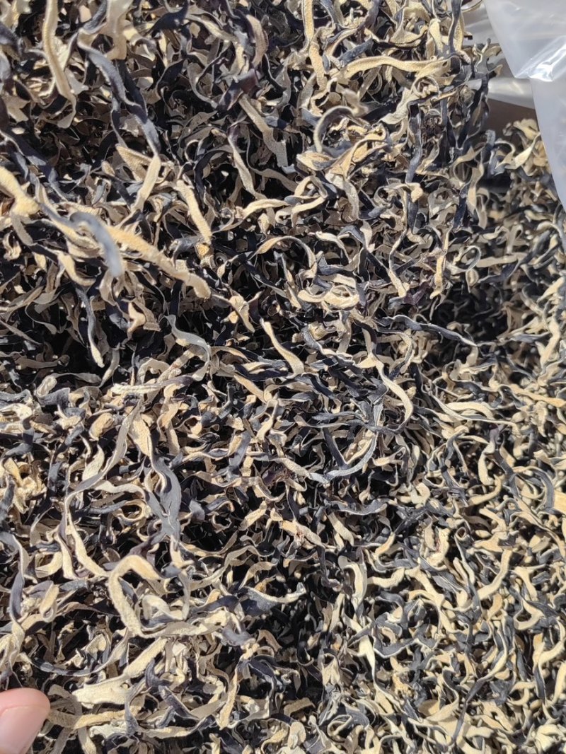 干木耳丝白背木耳丝工厂源头直发量大价优全网低价