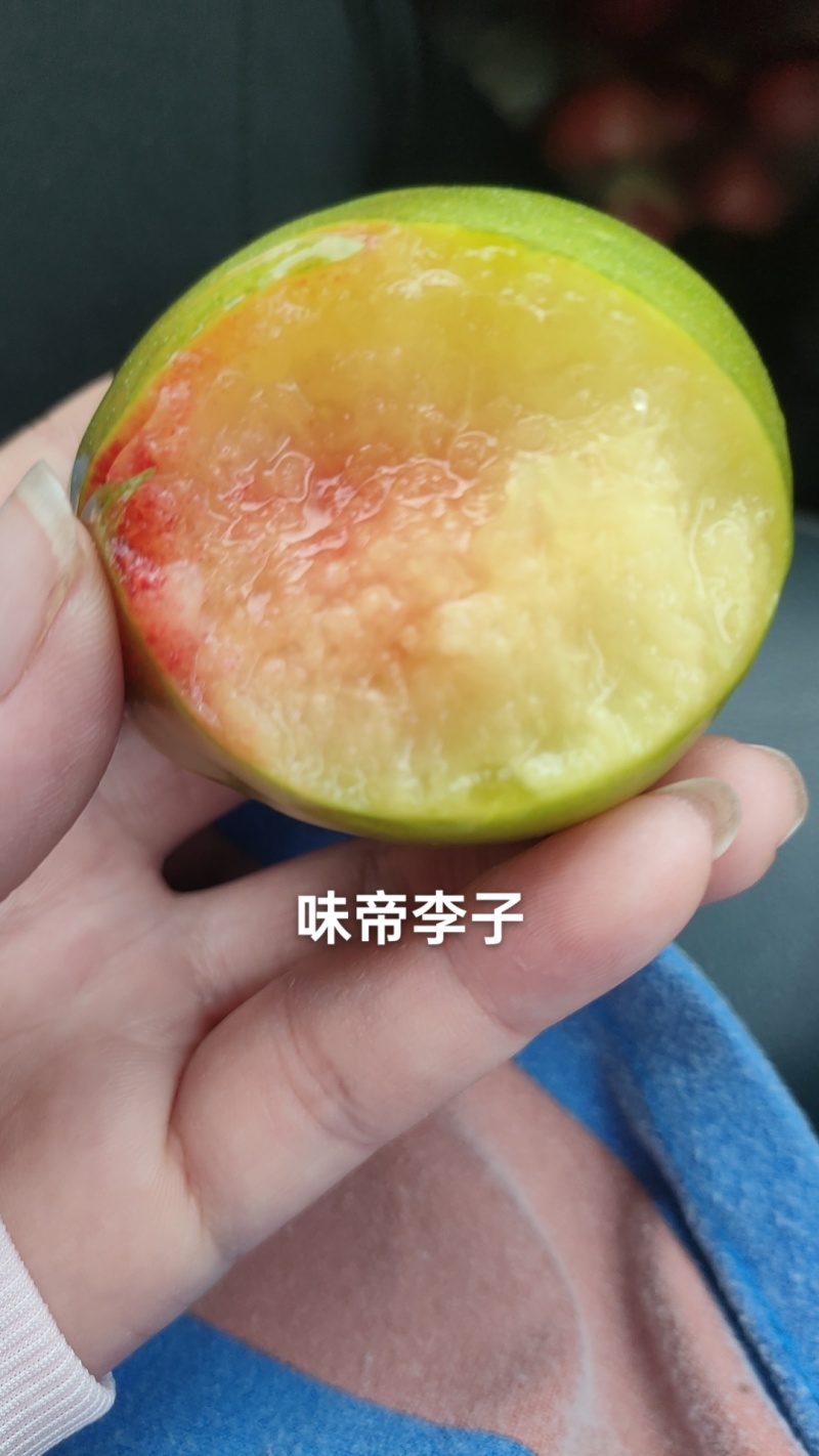 味帝李子已上市，个头大，口感好，纯甜果，需要的老板一亩田