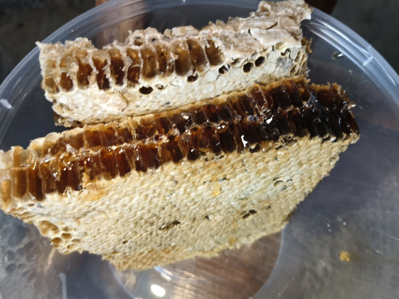 深山土蜂蜜