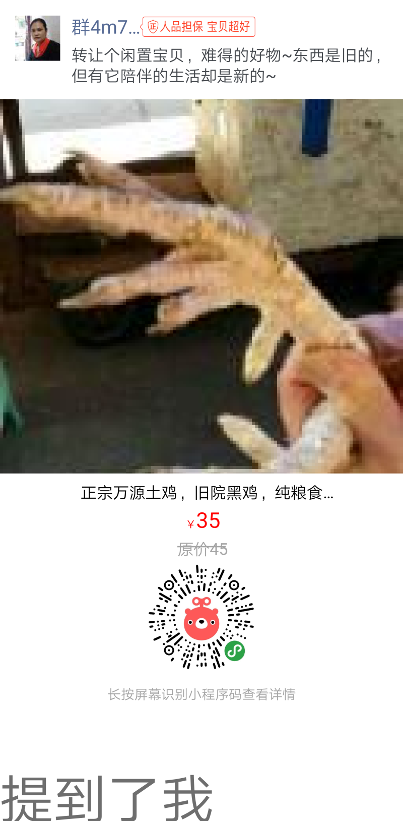 旧院黑鸡，大巴山散养土鸡，土母鸡，土鸡蛋，三黄鸡