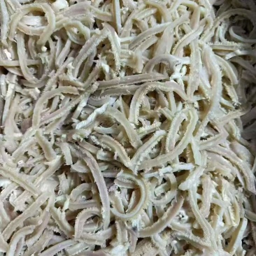 原味全熟牛肚丝