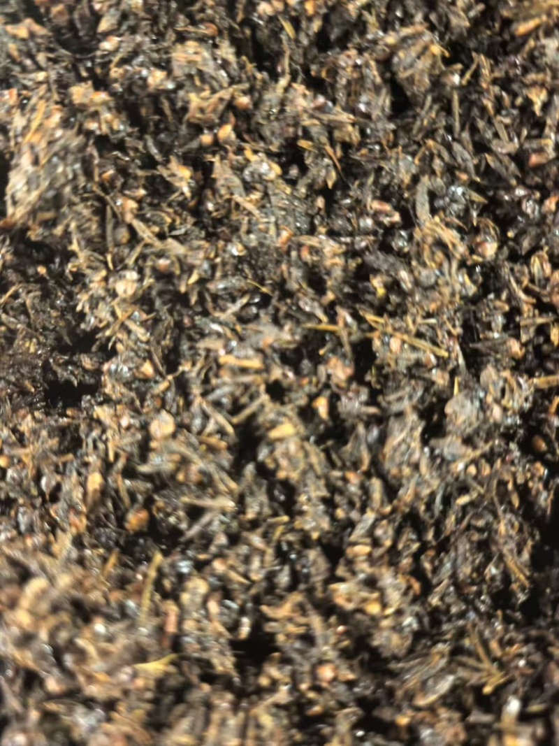 长期供应酒糟。量大从优。