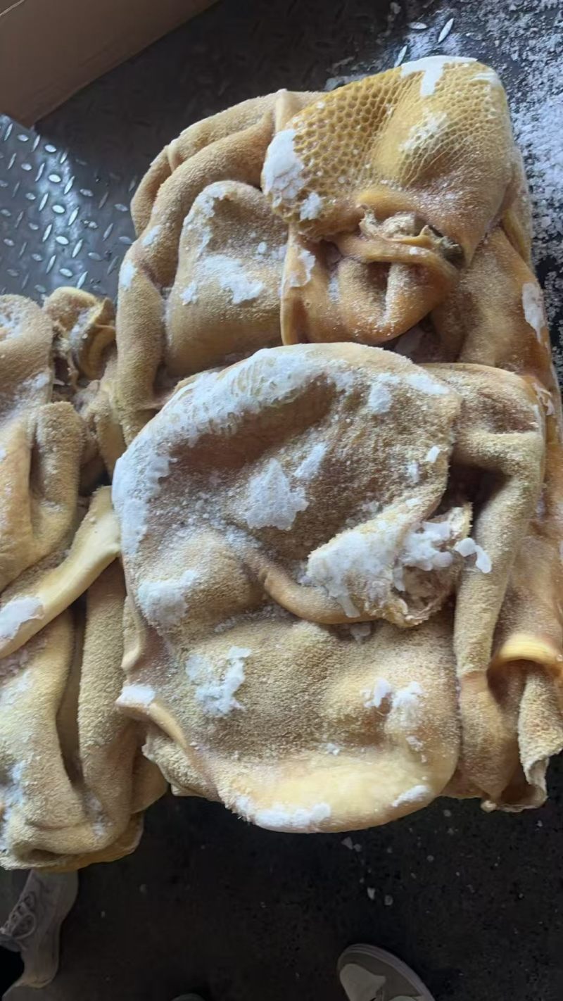 水煮牛肚带金钱肚
