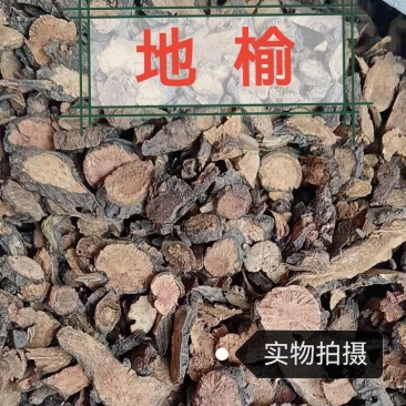 地榆中药材地榆地榆中药材野生地榆切片康养斋中药材