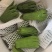 佛手果食用奶茶专用