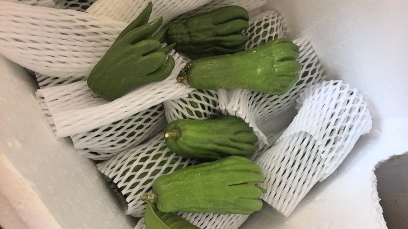 佛手果食用奶茶专用
