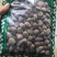 大风子大枫子麻风子大疯子中草药大风子包邮