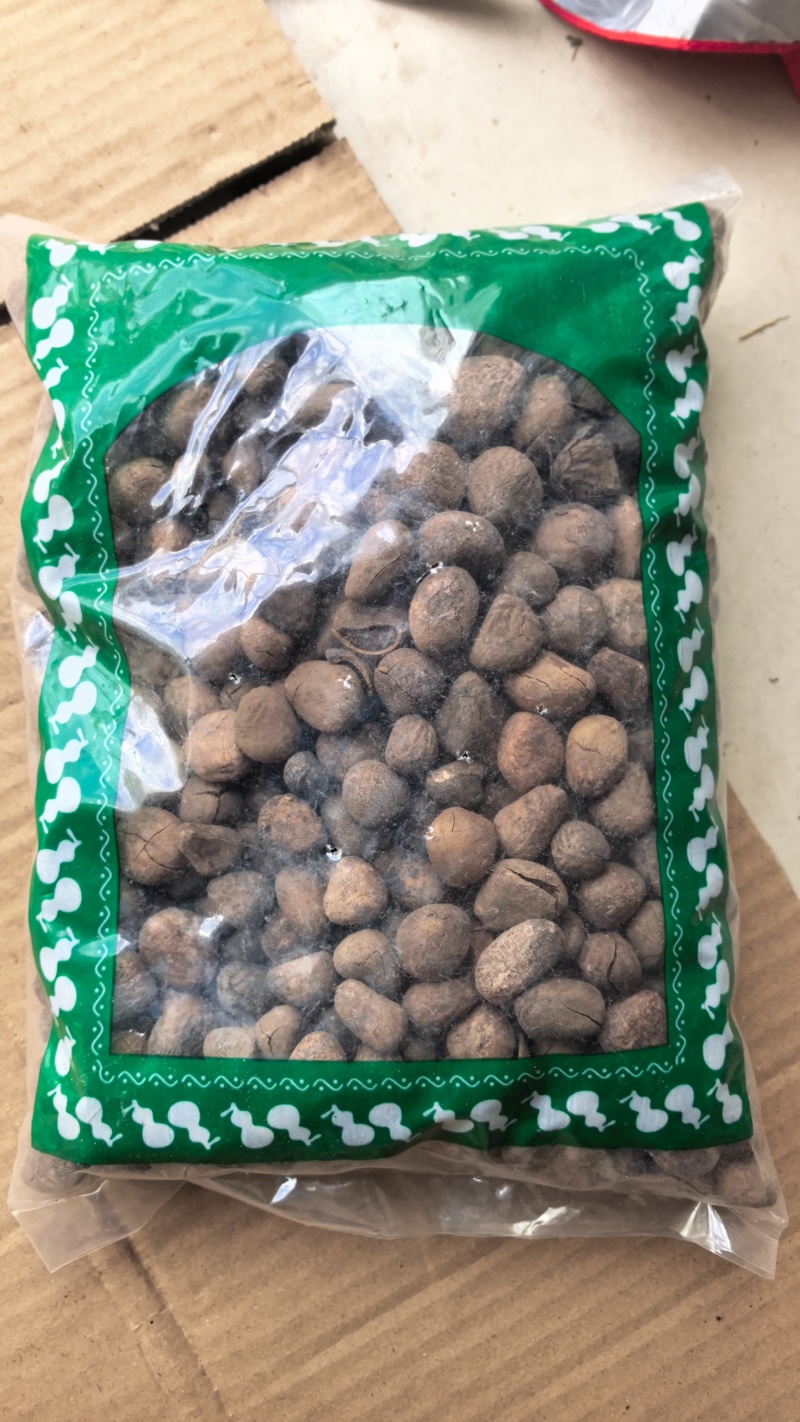 大风子大枫子麻风子大疯子中草药大风子包邮