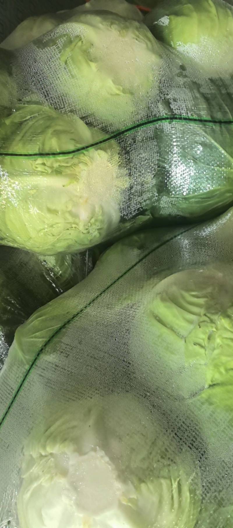 甘蓝一预冷，平台，电商食堂不限量**