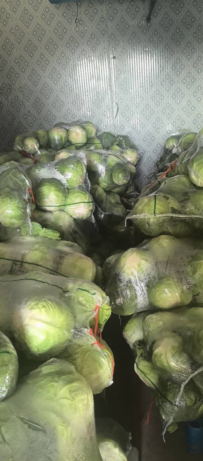 甘蓝一预冷，平台，电商食堂不限量**