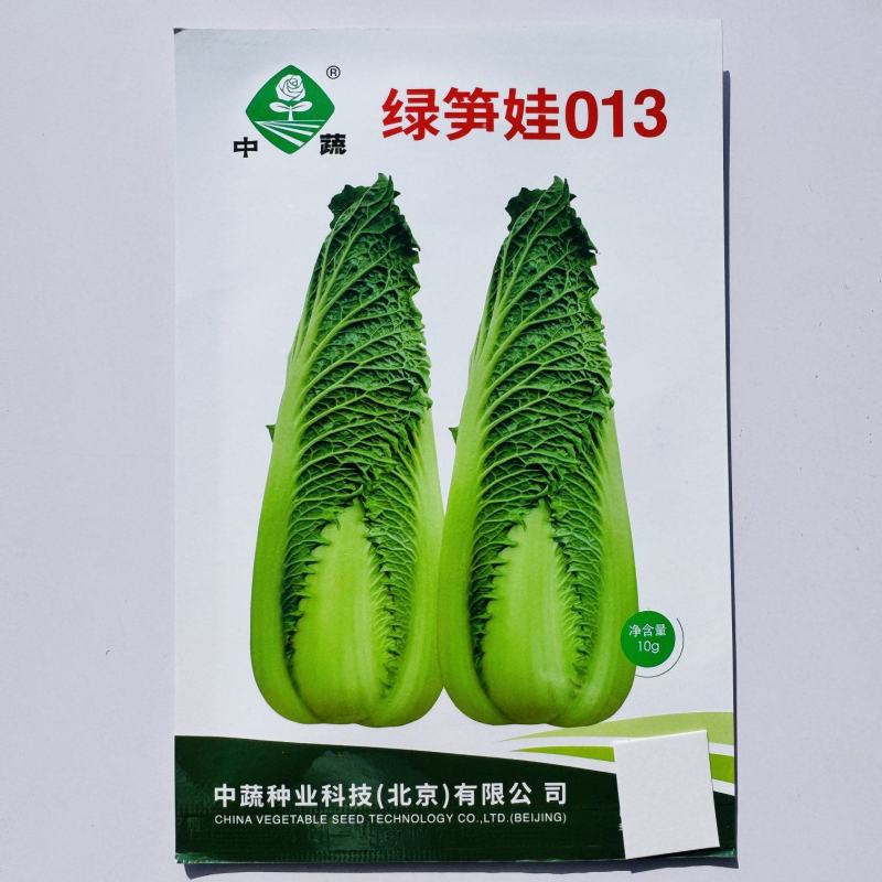 绿笋娃013包尖白菜种子春秋龙芽菜种子玉田水果白菜种子