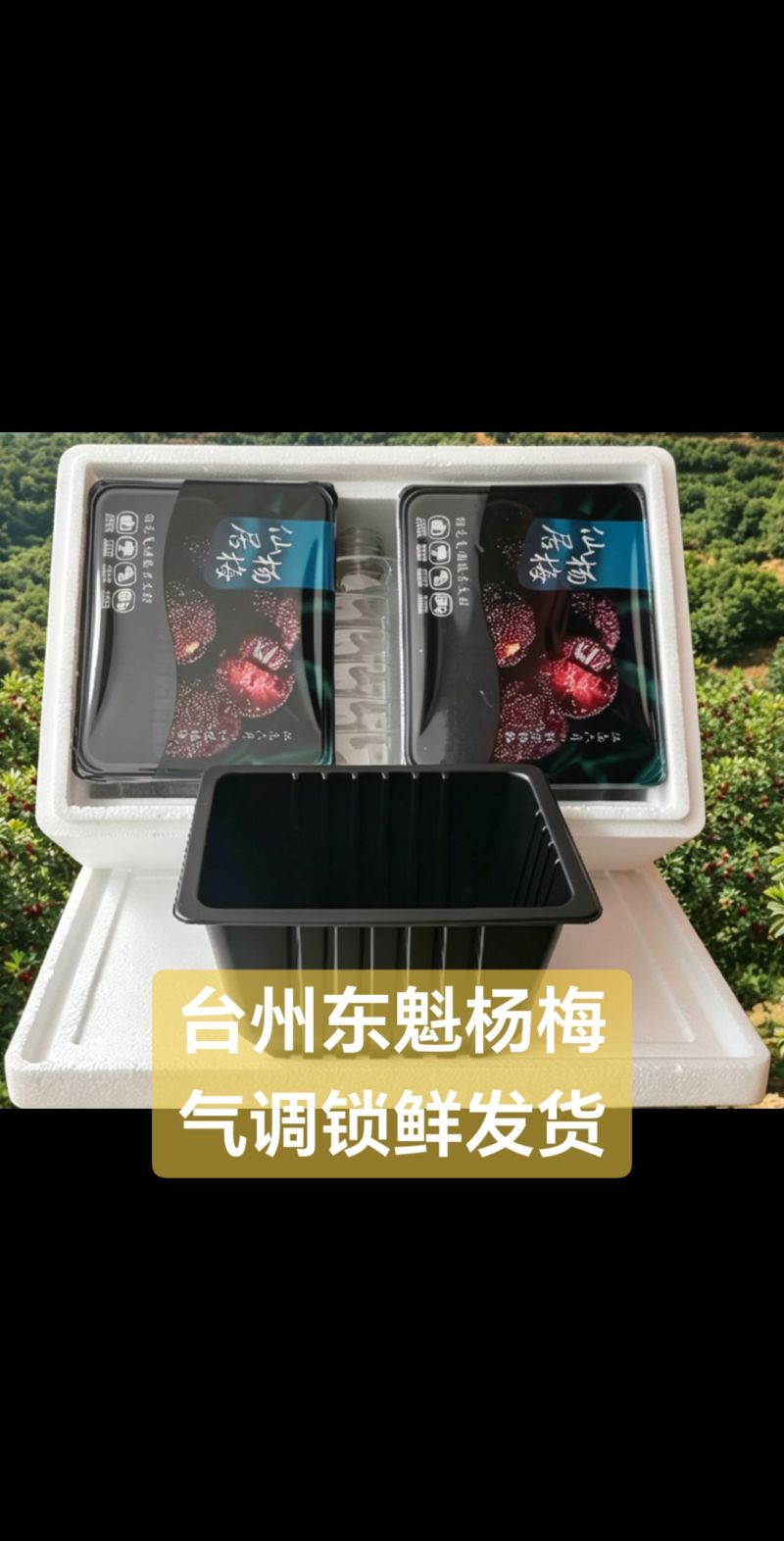 台州东魁杨梅产区可代采可一件代发