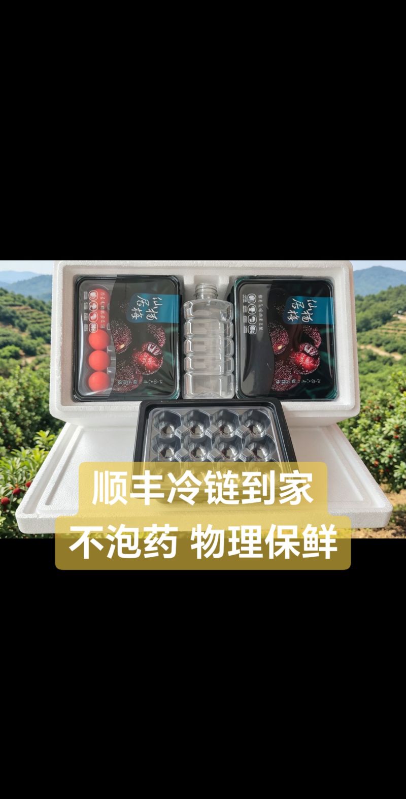 台州东魁杨梅产区可代采可一件代发