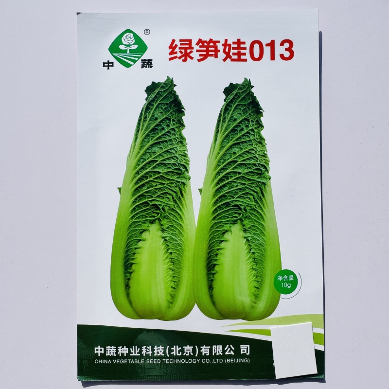 绿笋娃013包尖白菜种子春秋龙芽菜种子玉田水果白菜种子