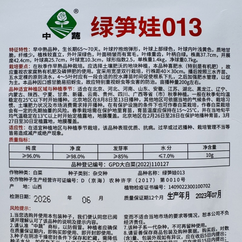 绿笋娃013包尖白菜种子春秋龙芽菜种子玉田水果白菜种子