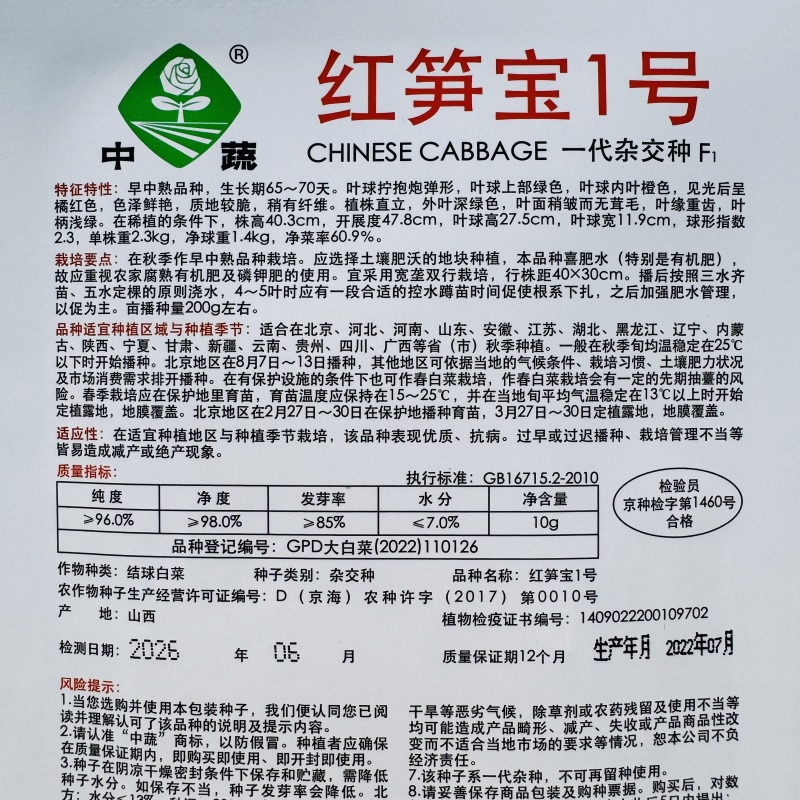 绿笋娃013包尖白菜种子春秋龙芽菜种子玉田水果白菜种子
