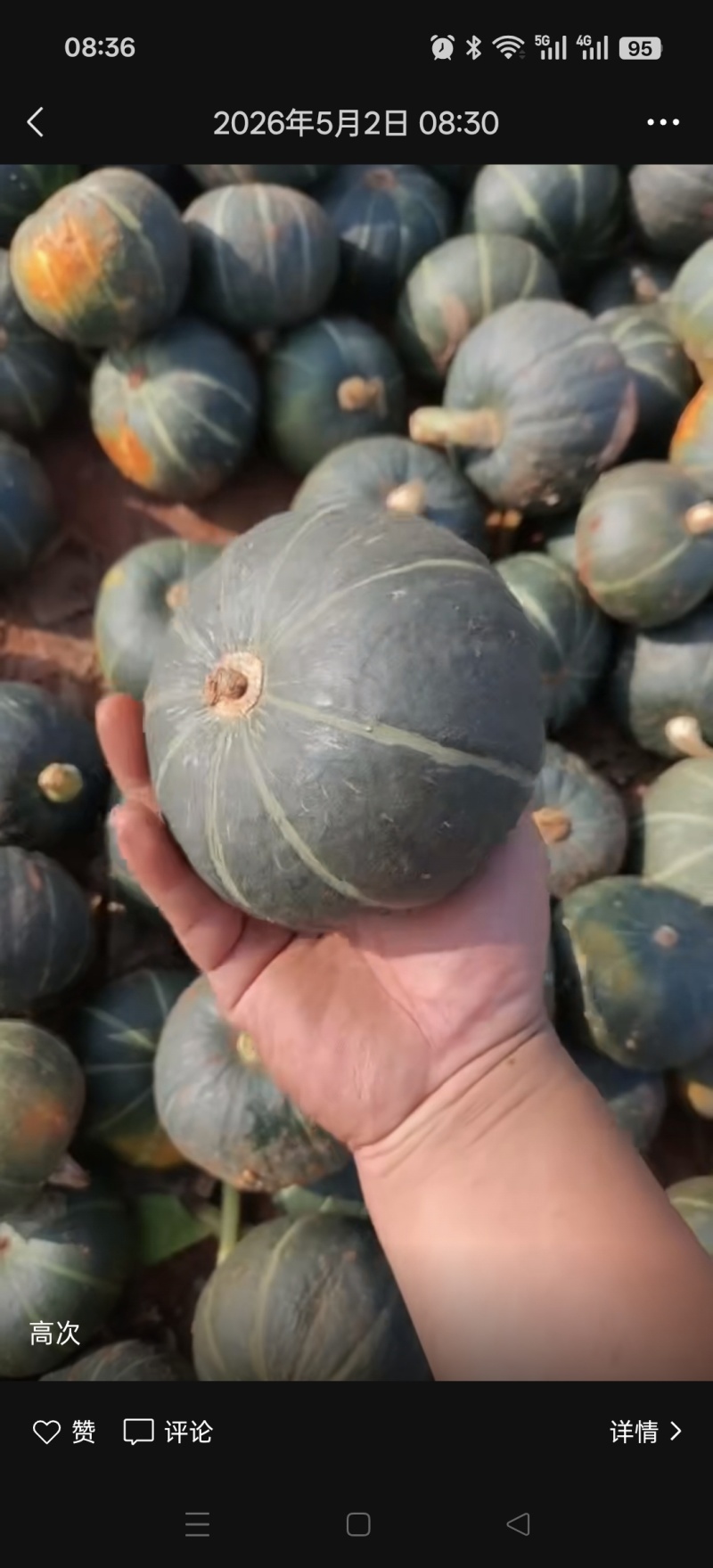 地瓜贝贝芋头红薯玉米辣椒