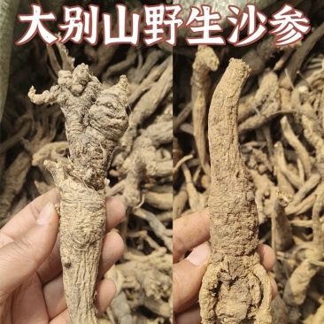 大别山区野生沙参干货