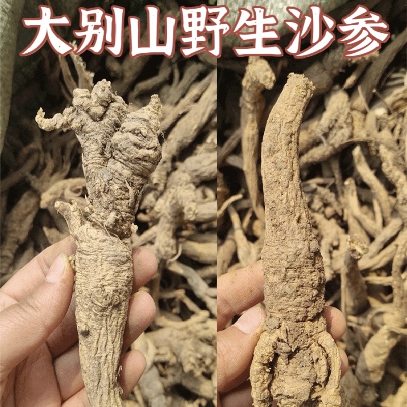 大别山区野生沙参干货