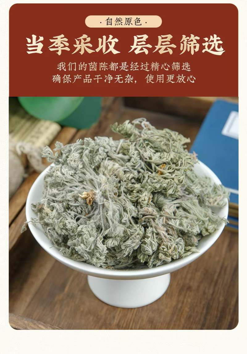 包邮）绵茵陈野生新鲜草茵陈茵陈粉中草药材500g克