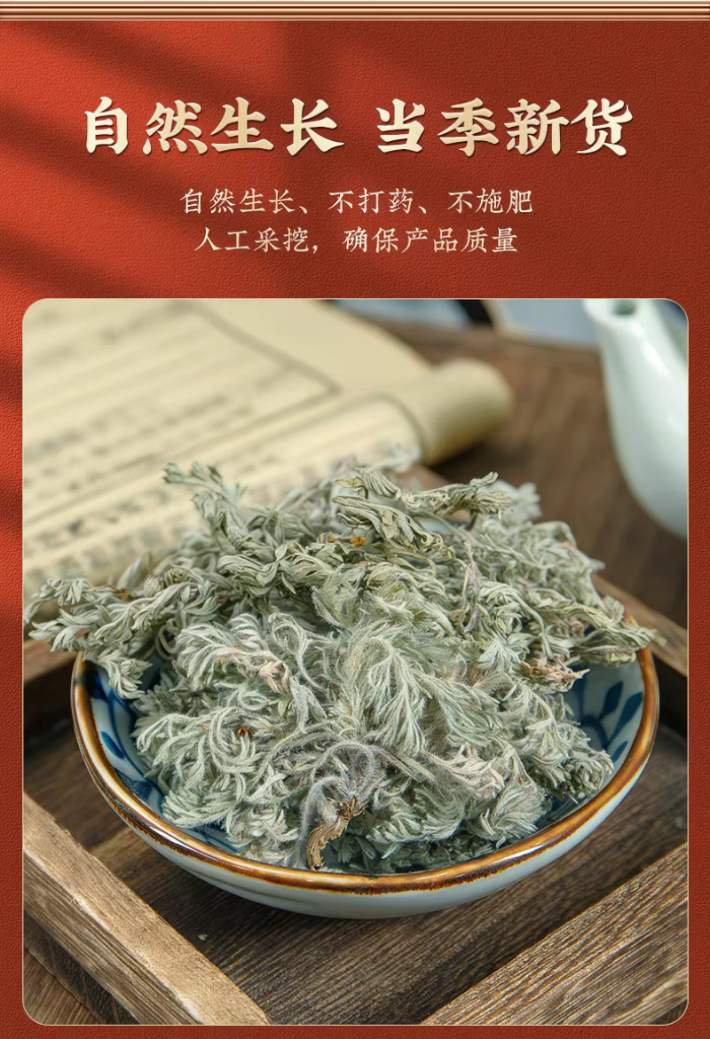 包邮）绵茵陈野生新鲜草茵陈茵陈粉中草药材500g克