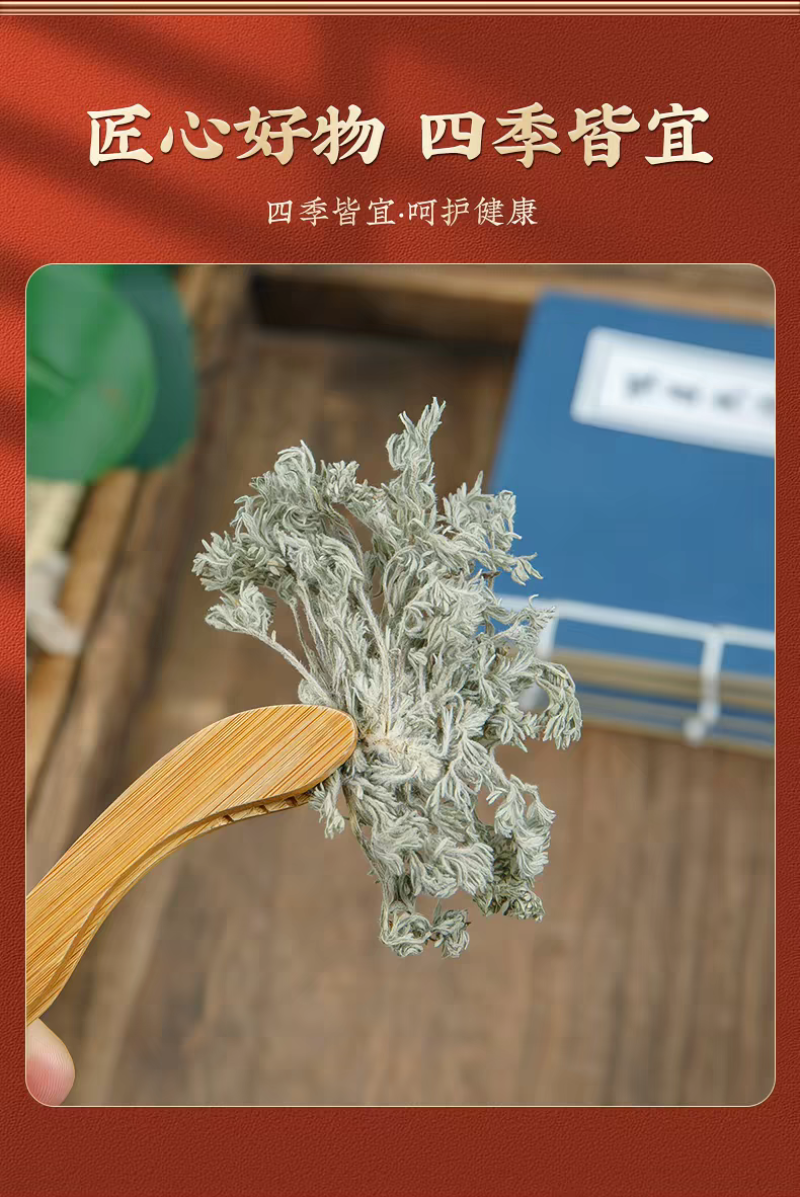 包邮）绵茵陈野生新鲜草茵陈茵陈粉中草药材500g克