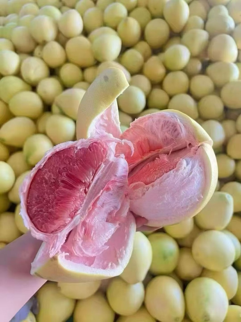 福建琯溪蜜柚