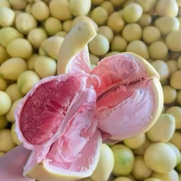 福建琯溪蜜柚