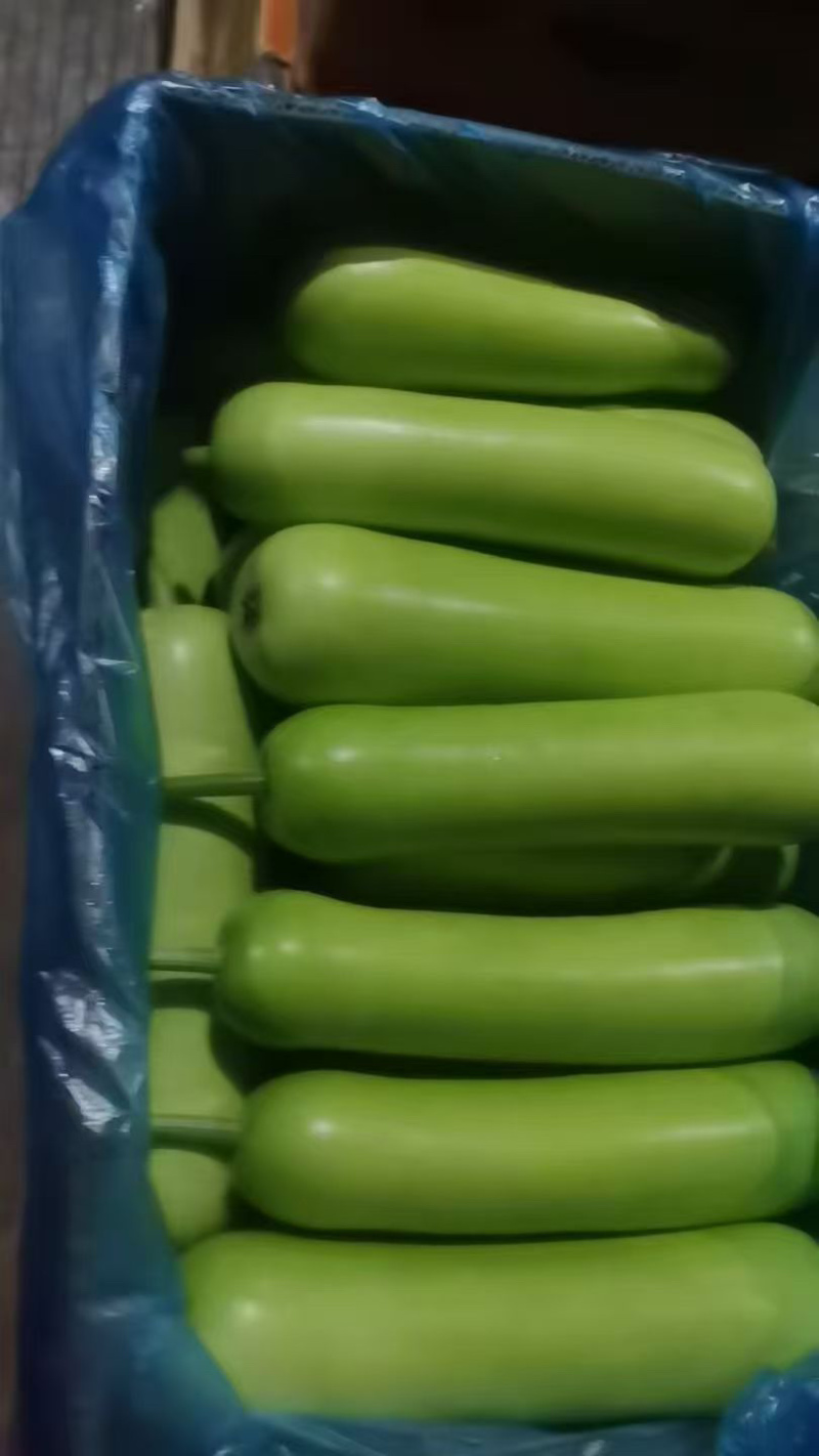 瓠瓜