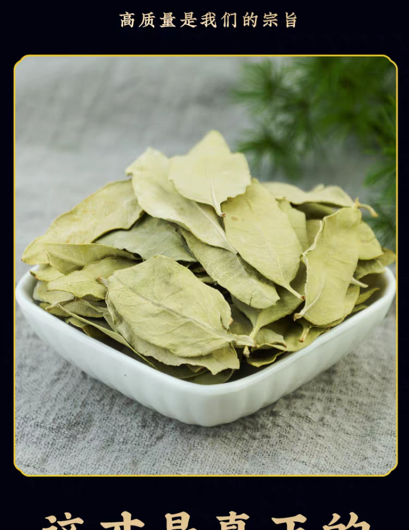 包邮）中药材天然罗麻布罗布麻叶罗布麻叶500克